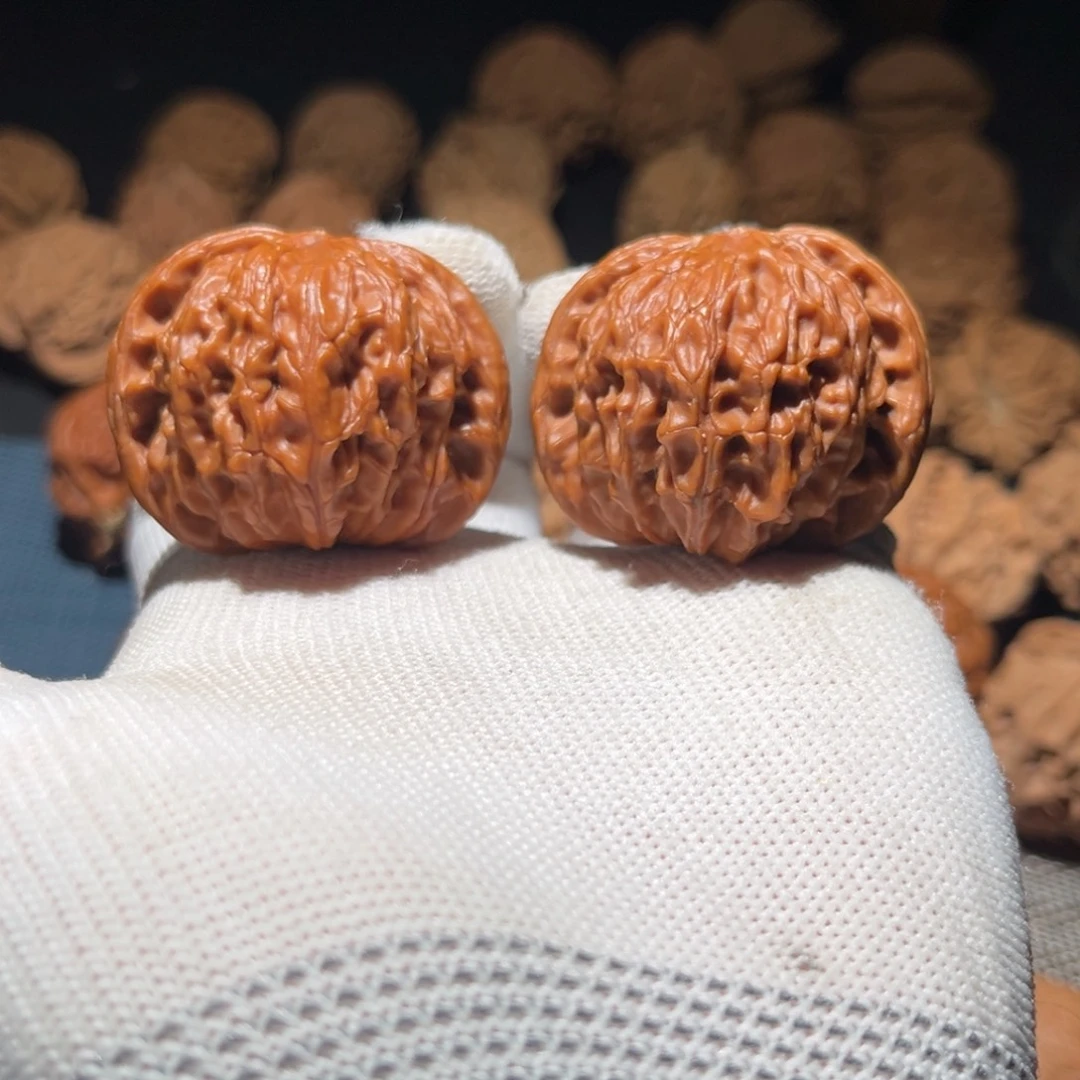 核桃41无修昌平一代磨