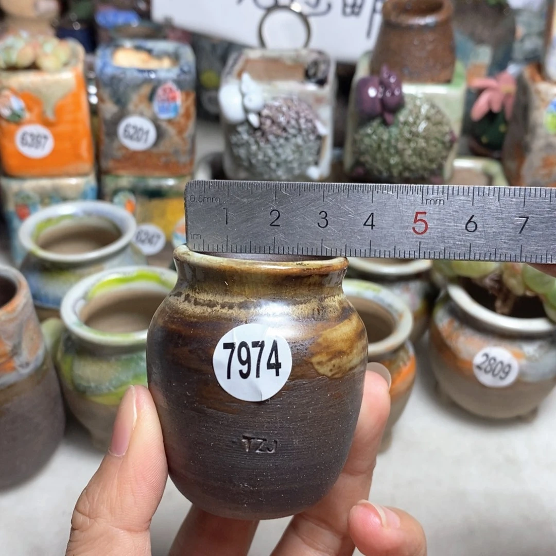 拍5送一个小礼物