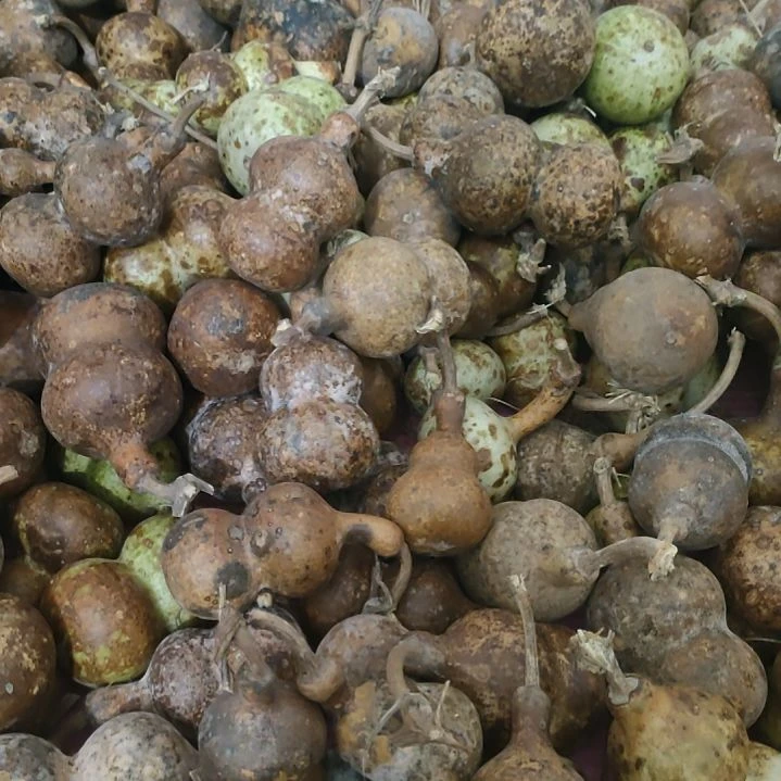 木花皮不退不换，包邮不包成，慎拍