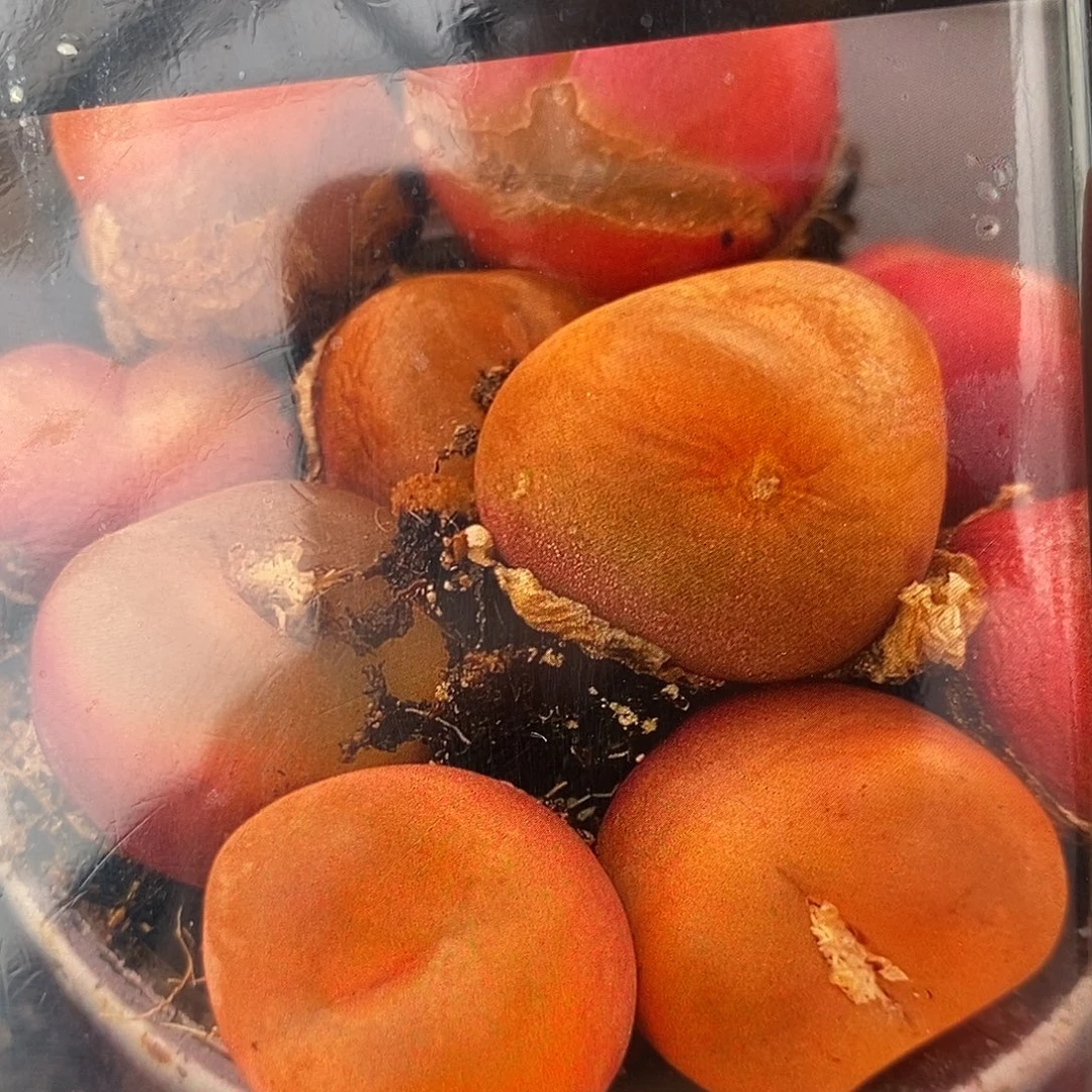 5年水蜜桃有瑕疵一颗。