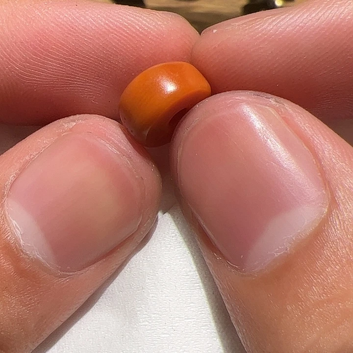 香榧木你是否也有