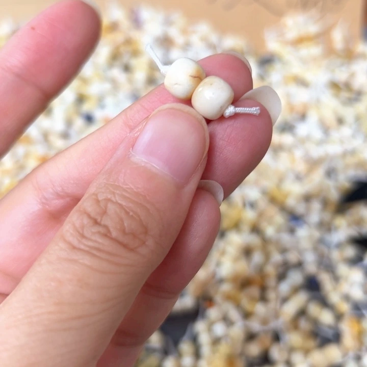 裸石蜜蜡未镶嵌7.5mm一对