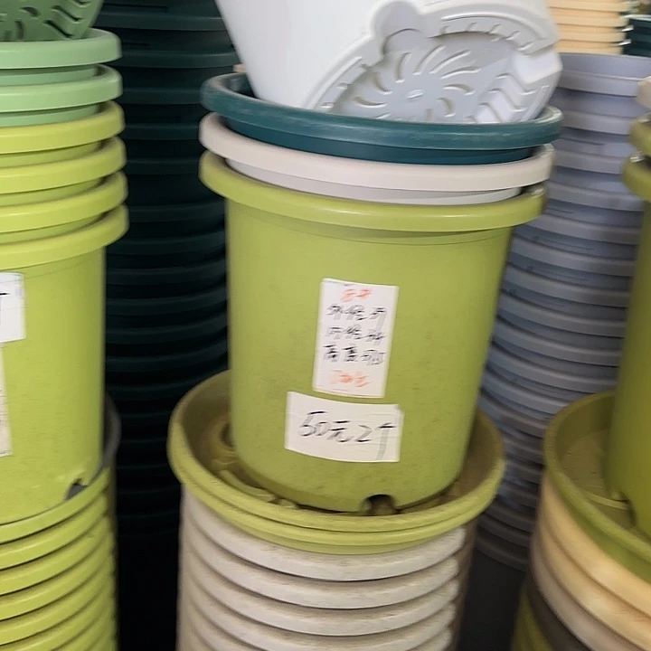 微瑕8#口径39无托果绿3个