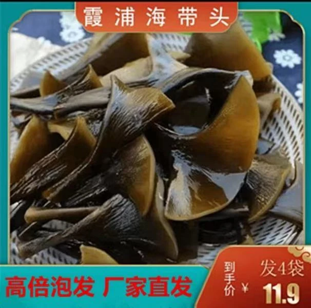 【新货】特厚霞浦海带头霞浦特产火锅食材水产干货厚海带头50g/袋