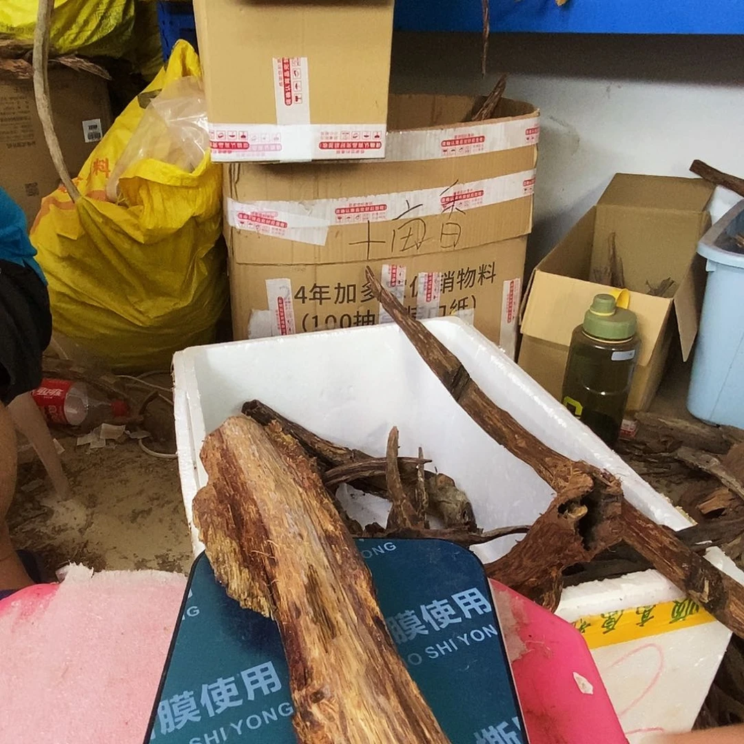 海南降真香大叶帝王