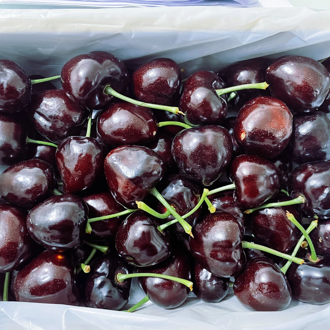 俄八大樱桃新鲜应季本地新鲜采摘5-7J2斤左空运
