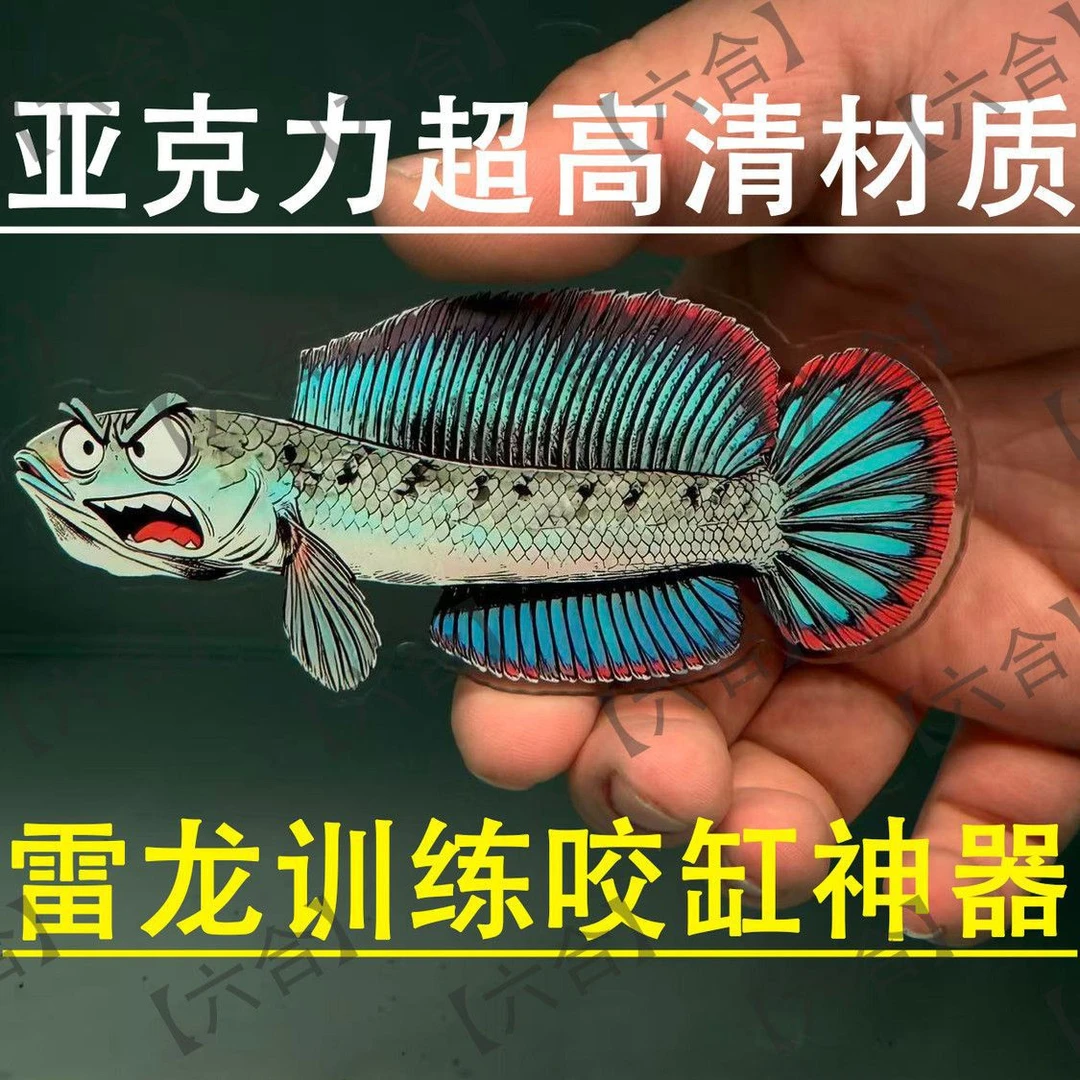 亚克力咬缸训鱼卡鬼王巴卡黄金眼镜蛇雷龙专用鼓鳃迅游咬缸工具卡