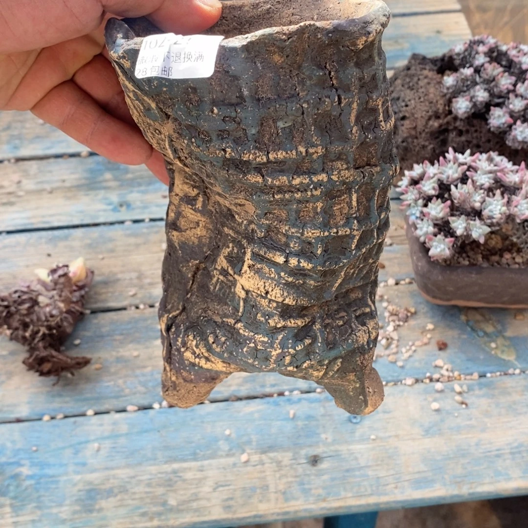 21号花盆内9高17花盆