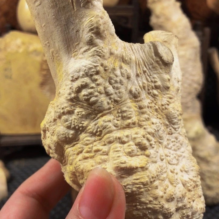 木随*木料木料木料木料