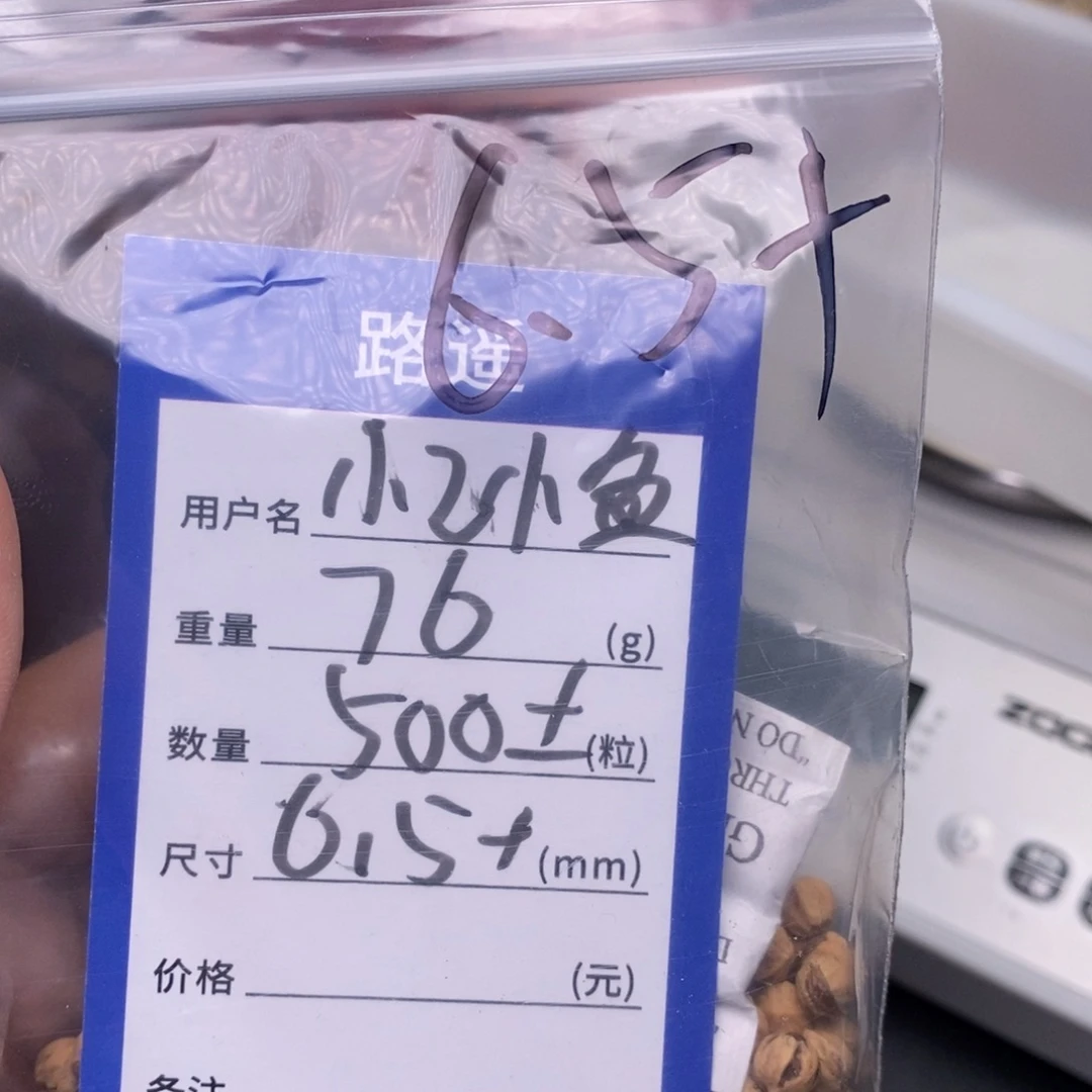 柏香籽/百香籽吊坠忆*鱼