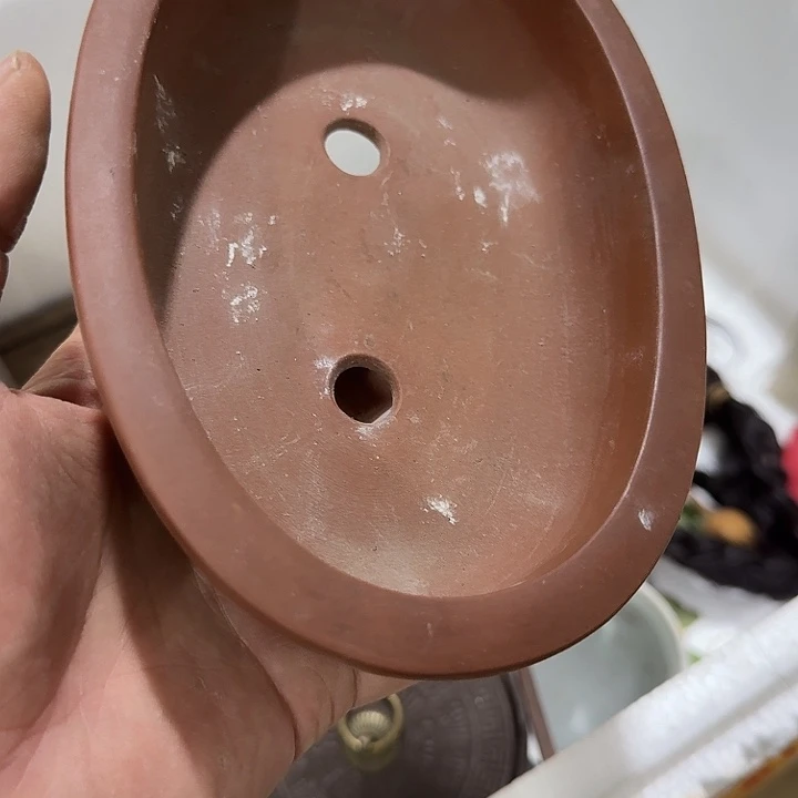 余***艳扇子 个v给哥哥vvv把v宝贝