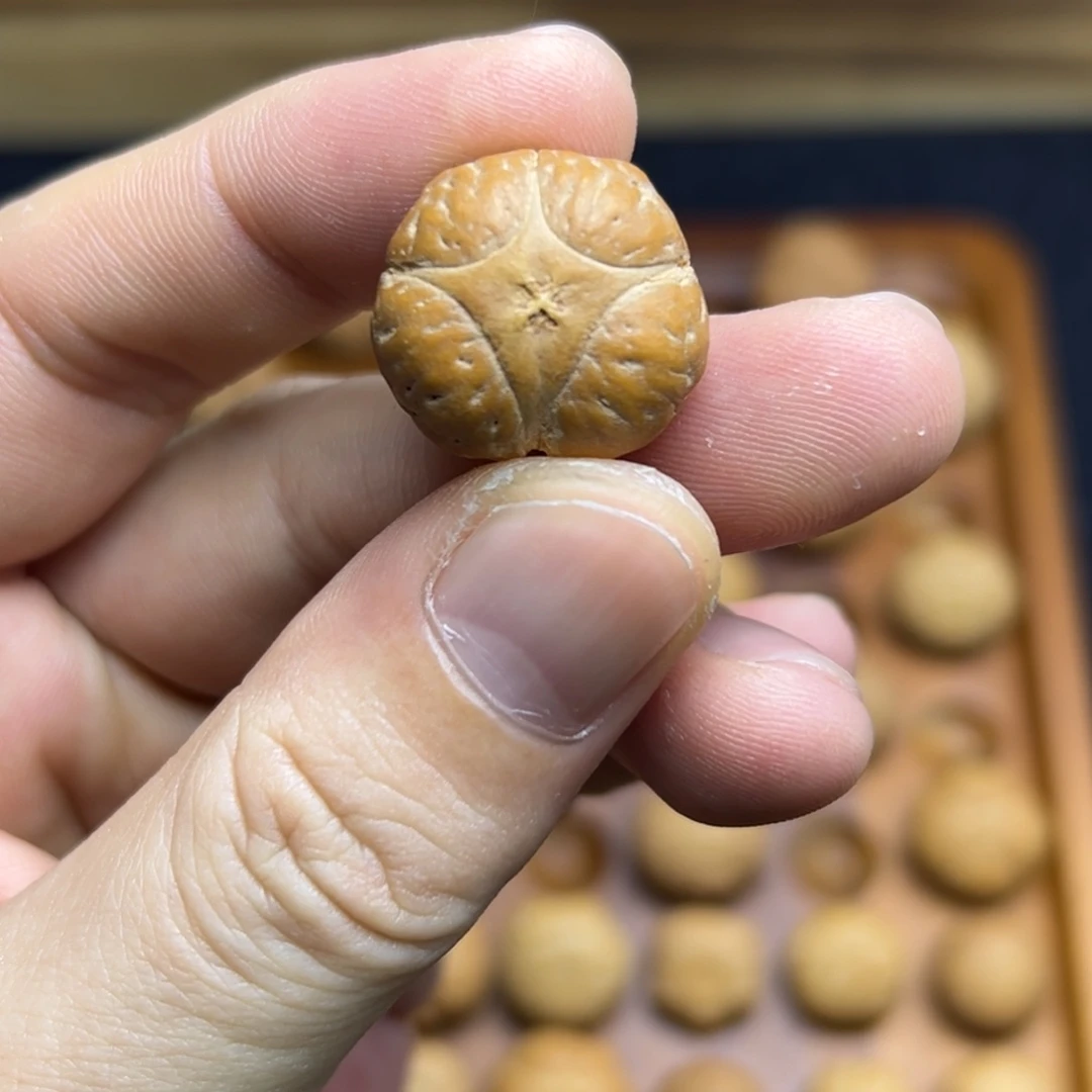 凤眼菩提手串20.4麒麟眼