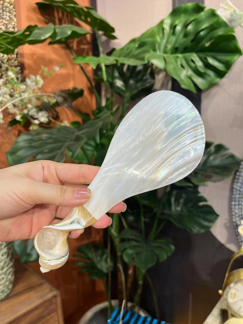 T天然贝壳饭勺饭铲子海螺款