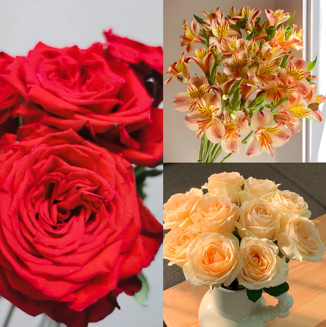 鲜花组合【自由10支+蜜桃10支+水仙百合10支】家庭养插花