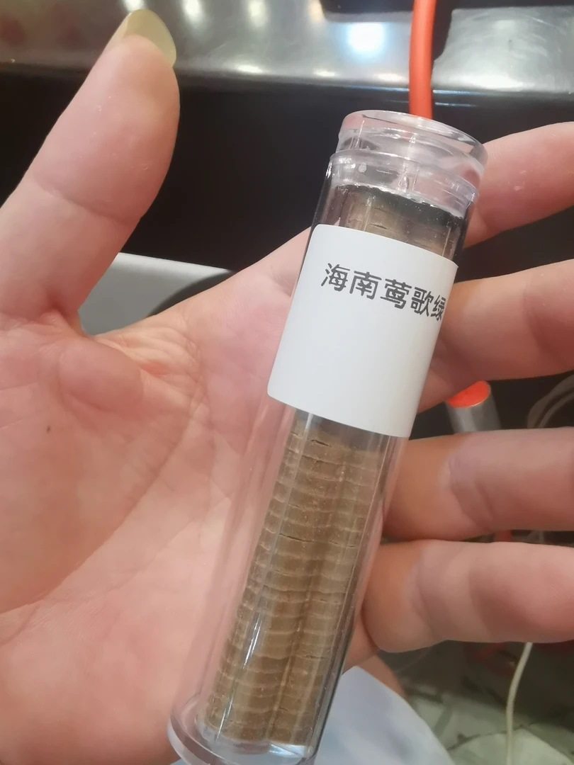 海南莺歌绿无粘小祥云36左右片装