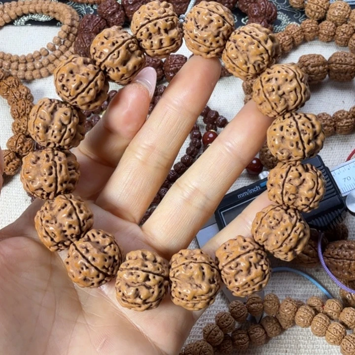 手串金刚菩提帝王龙