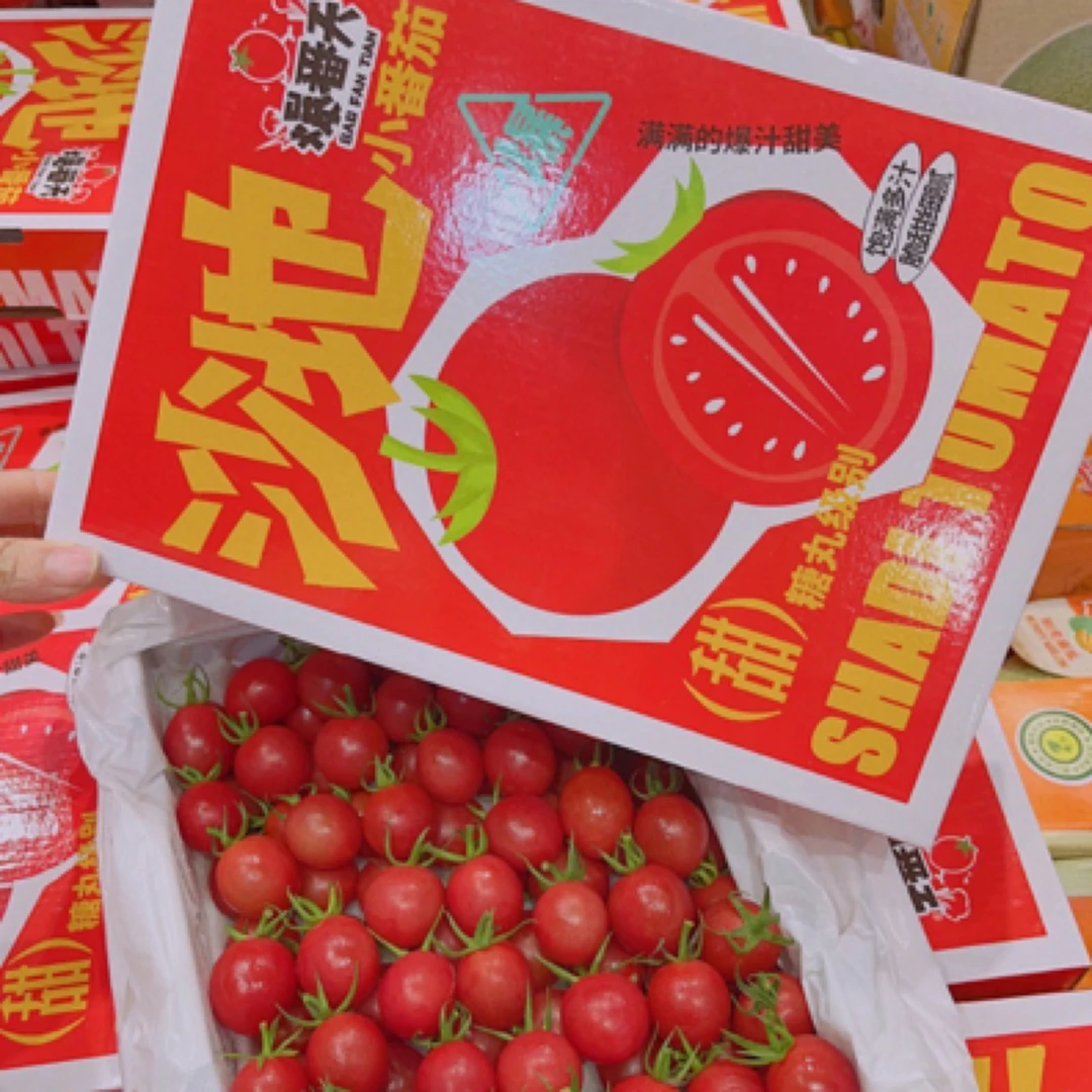 【爆汁、脆甜】沙地爆番天千禧小番茄1箱（带箱约2.5斤）
