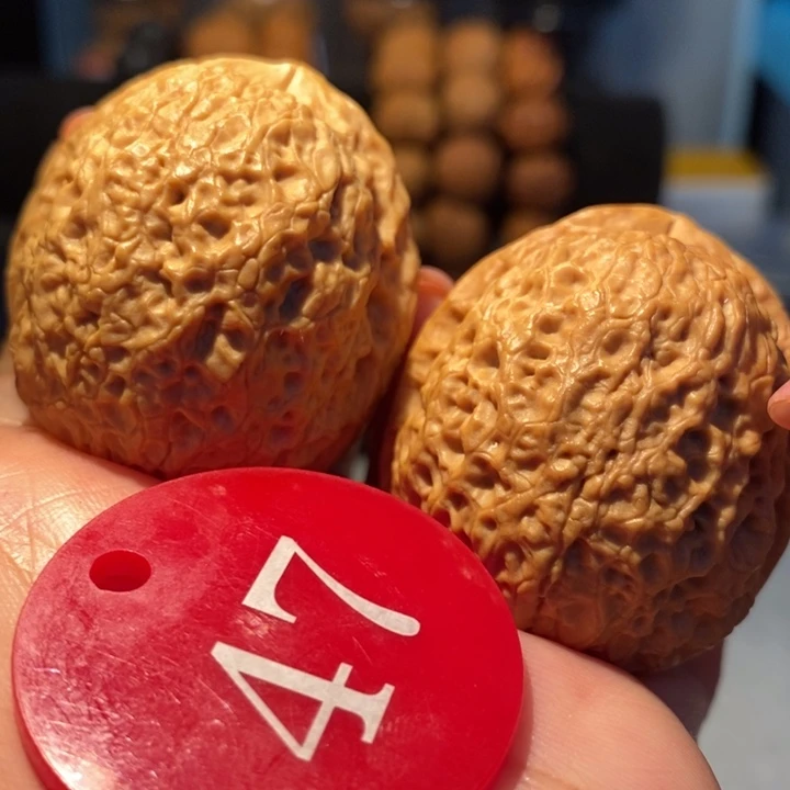 6号链接龙鳞铁狮子40尺寸