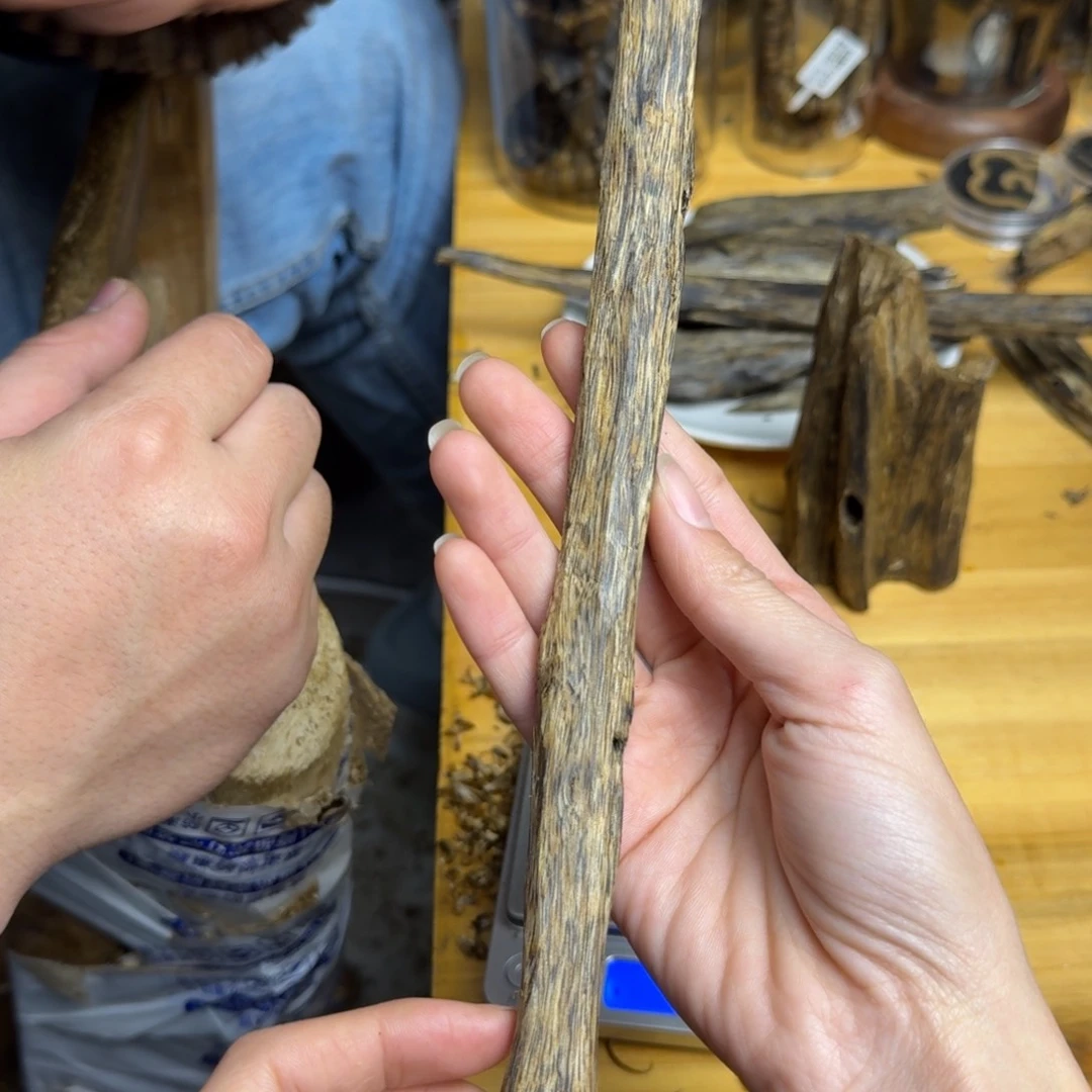 沉香沉香碎屑白棋品种块料22克