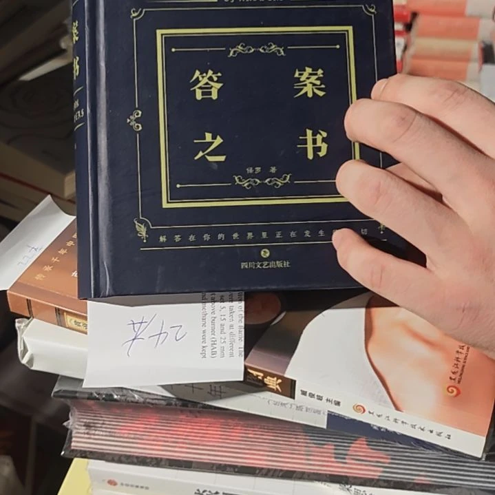 答案之书精装（务必塑封）
