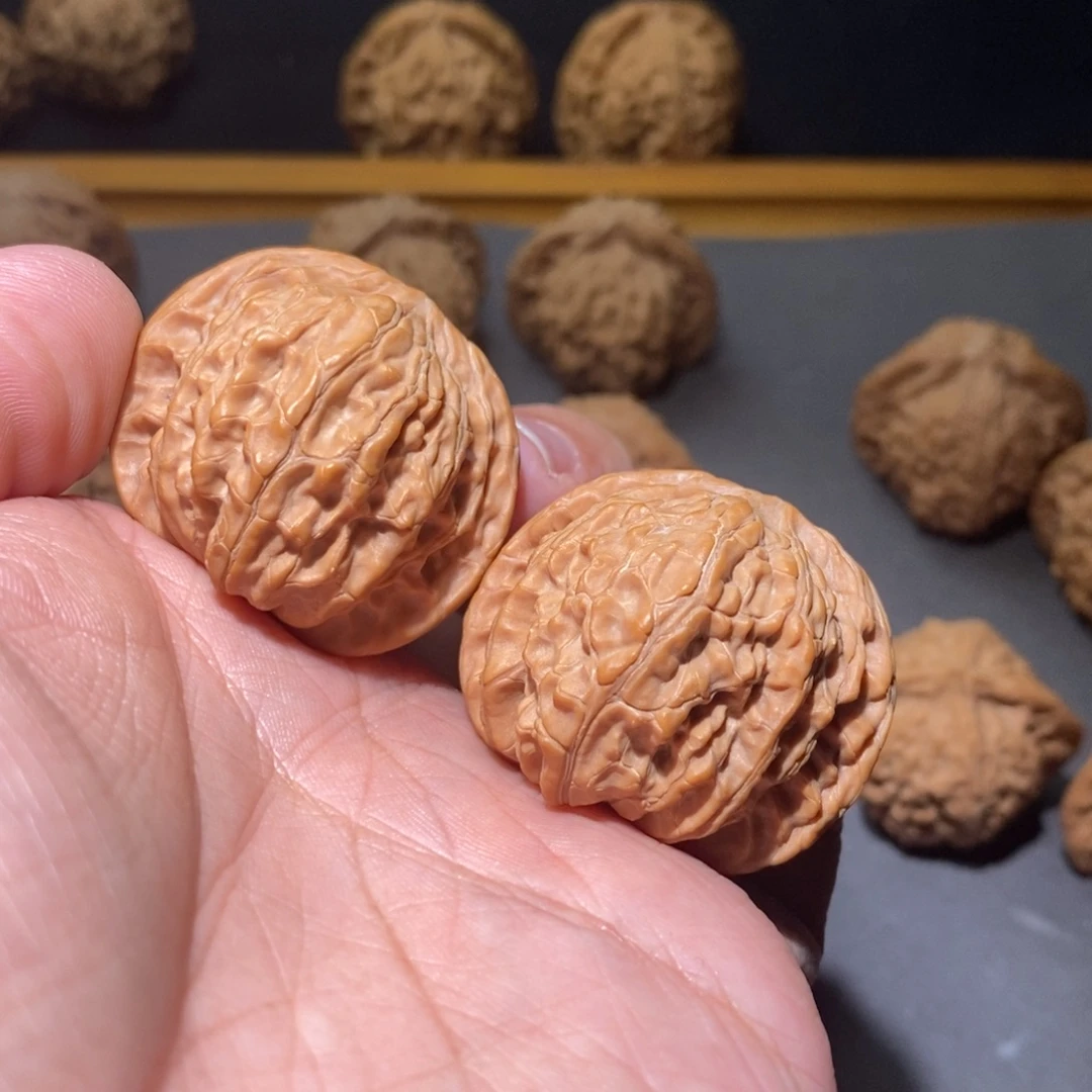 核桃37山西磨盘全品