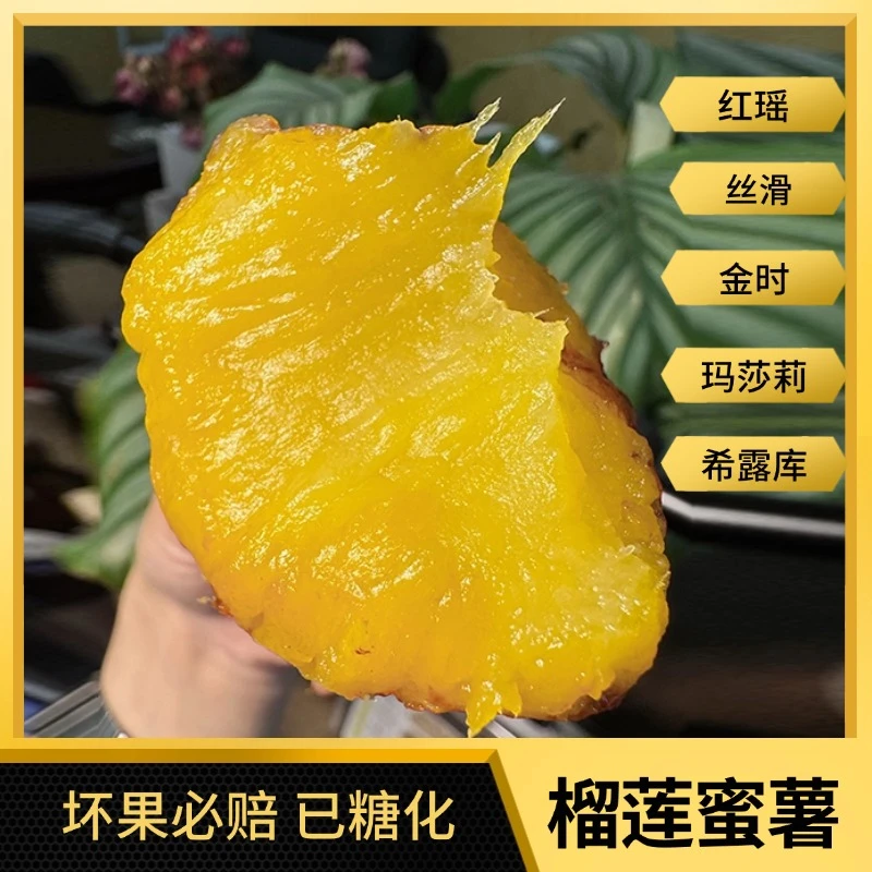 顺丰/京东丝滑流蜜蜜薯5斤番薯软糯香甜榴莲蜜薯地瓜红瑶红薯