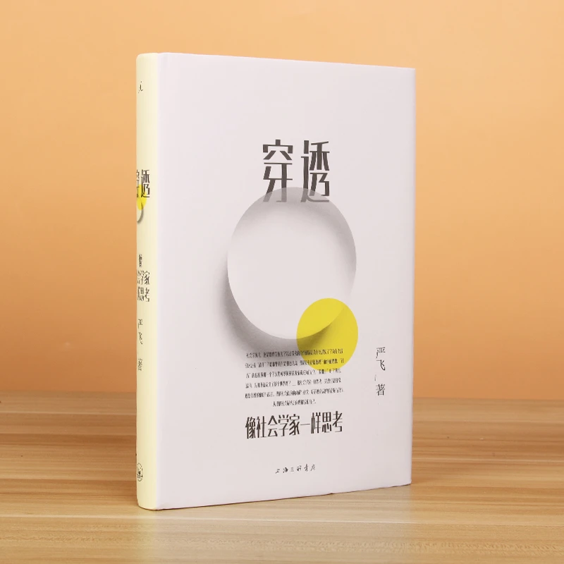 正版 穿透:像社会学家一样思考 清华大学社会学家严飞著 钱颖一