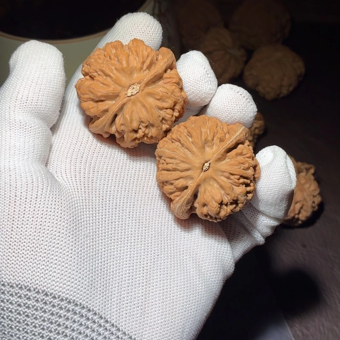 戈***G42全品大粗筋！！！！！！！！！！