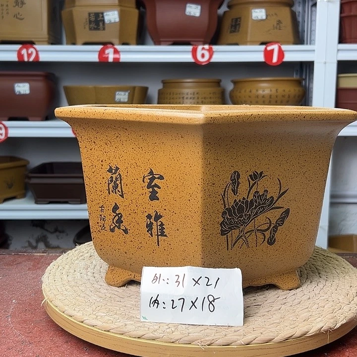 紫砂花盆蛇年大吉