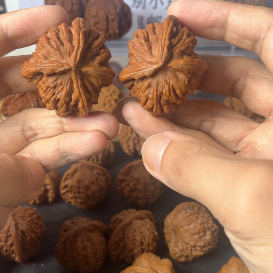 守正核堂，1314，楼子异形