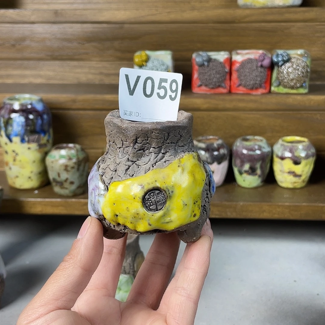 坛子姐多肉花盆内口4