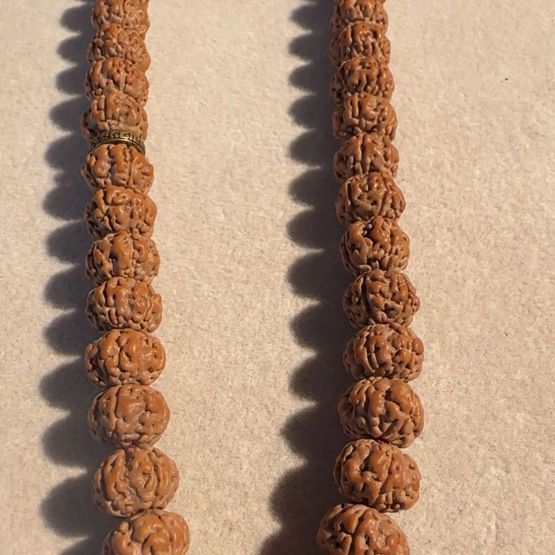 金刚菩提手串树王单圈