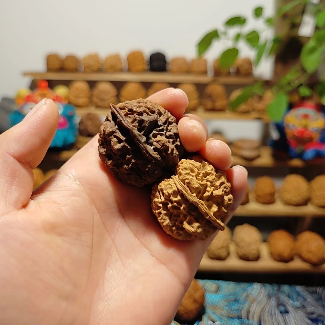 文玩核桃把件云南野生小众秘境文玩核桃螭云