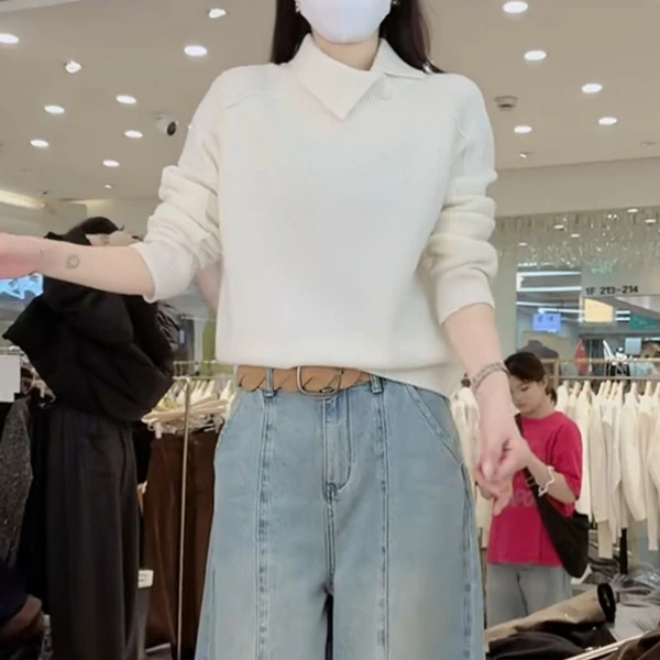 S0232新款秋冬长袖毛衣翻领百搭显瘦气质打底针织衫上衣