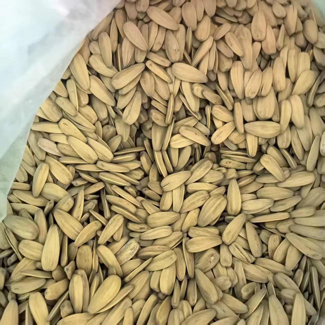 五香散装瓜子买一斤送一斤到手两斤