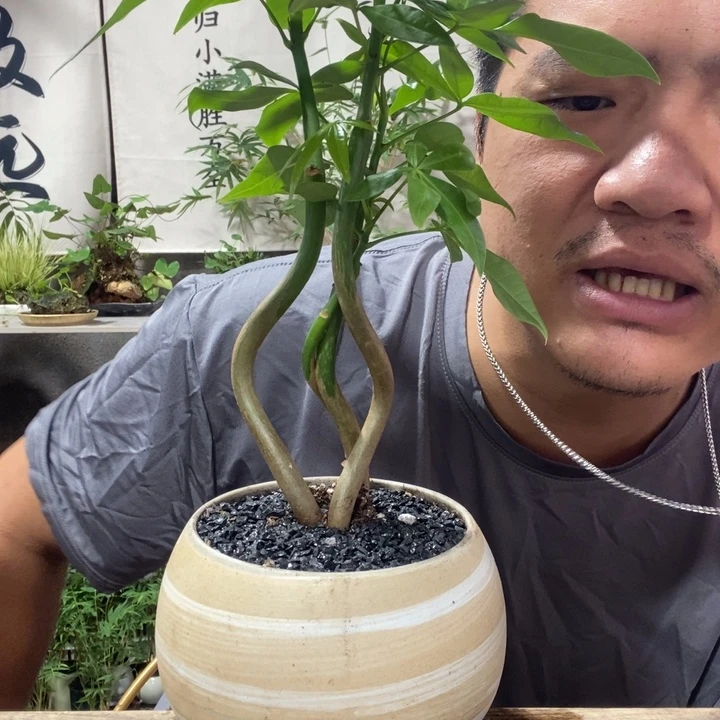 ****p无花朵退款拉黑拉黑138