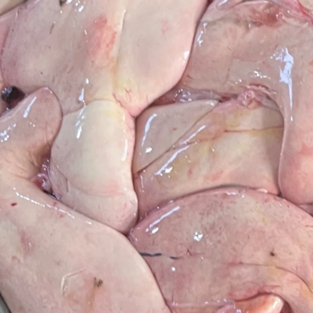 安康鱼肝新鲜冷冻安康鱼干 口感香