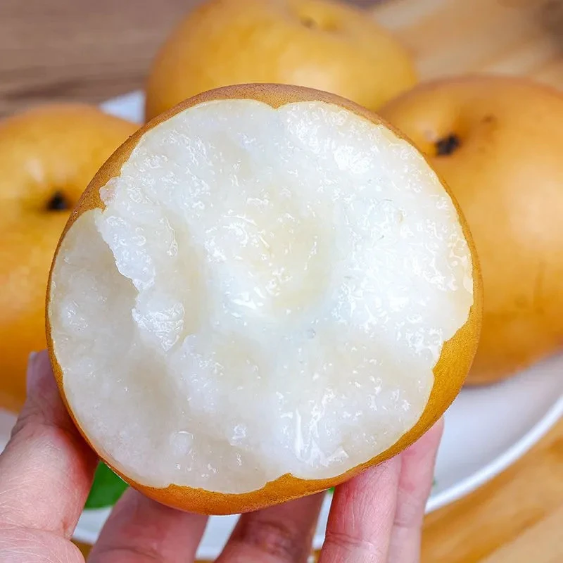 【京东发货】正宗不套袋秋月梨肉质鲜嫩脆爽爆汁产地直发坏果包赔