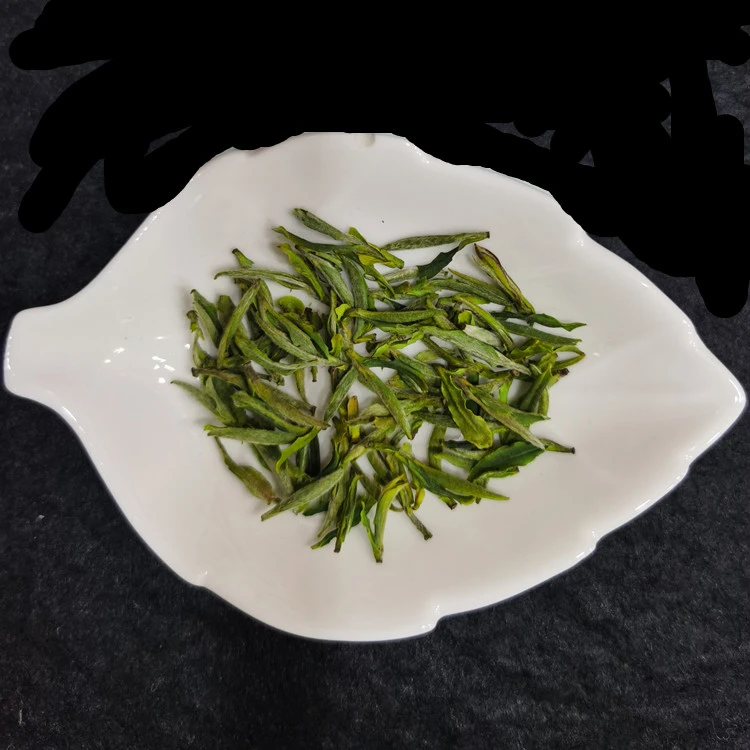 2025明前开园头采金寨高山荒野毛峰芽尖嫩芽春茶内山产地新茶礼品