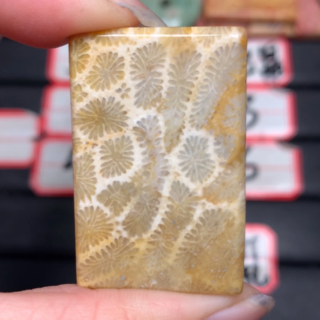 【闪购商品】硅化玉颈饰未镶嵌?*宝