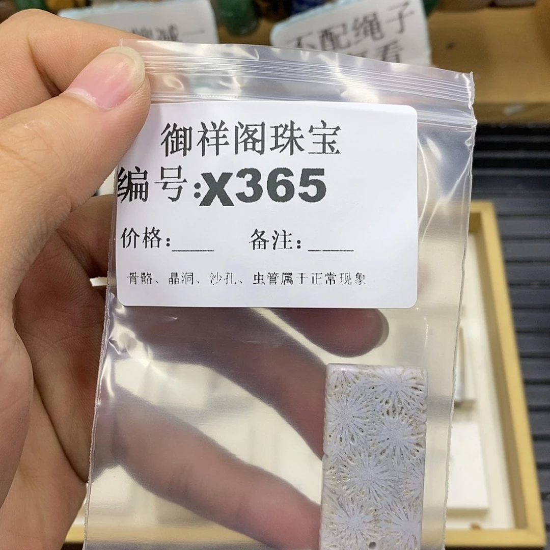 硅化珊瑚（珊瑚玉）未镶嵌颈饰颜****怡