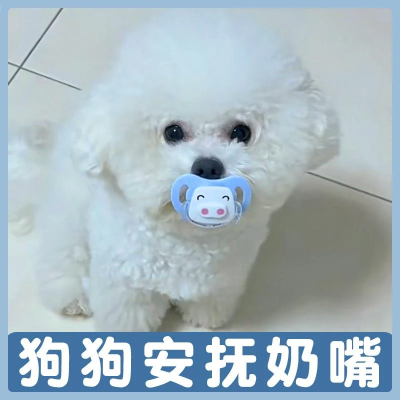 W宠物小狗狗奶狗专用安抚奶嘴睡觉磨牙玩具刚出生比熊幼犬生活用