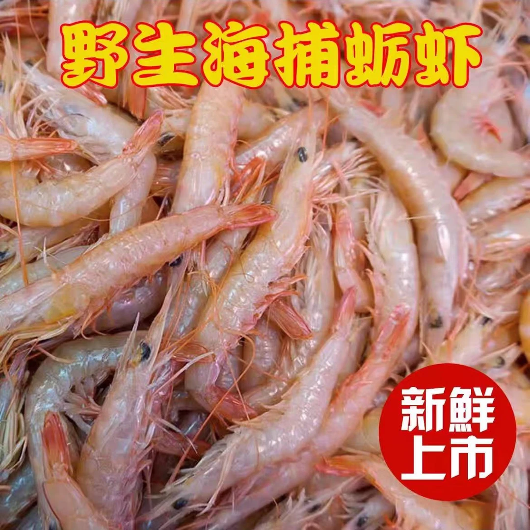 野生海捕新鲜蛎虾/鹰爪虾/海虾/适合扒虾仁   5斤 顺丰包邮