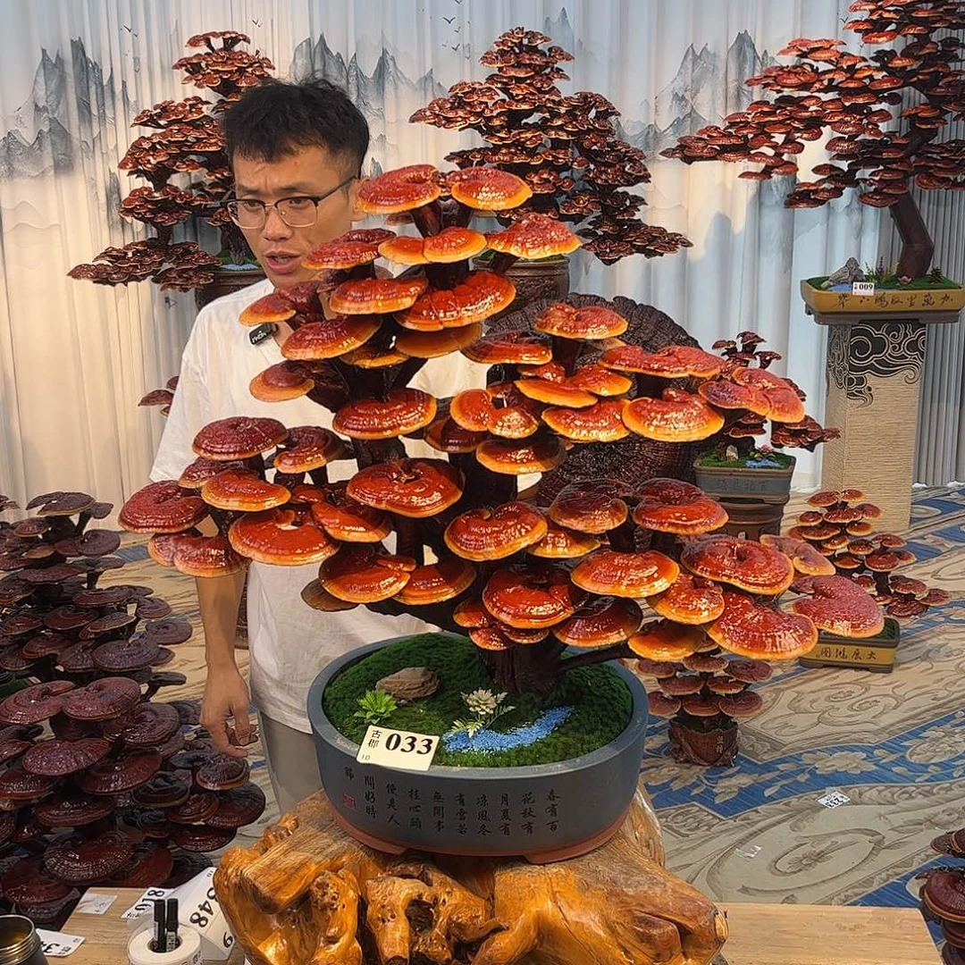 无花朵888888888888