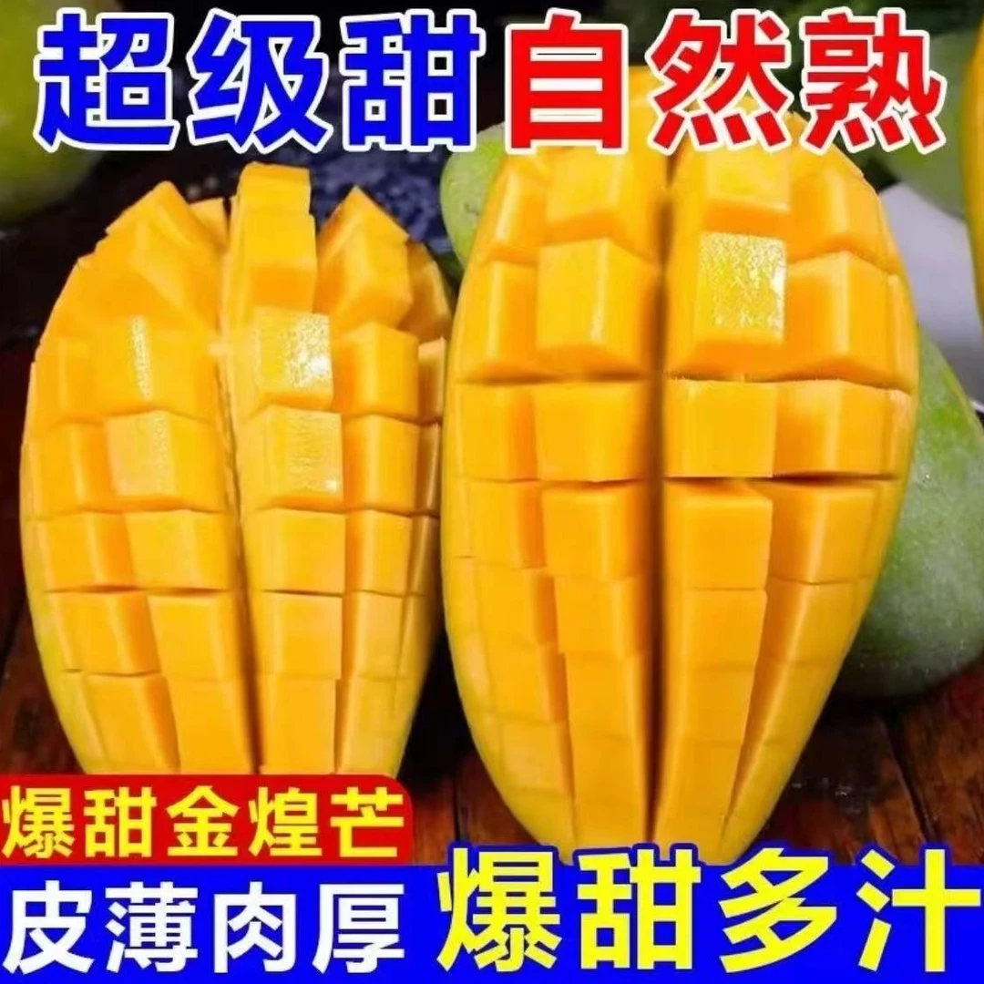 【精选老树果】正宗大青芒香甜多汁生熟两吃露天种植当季新鲜水果