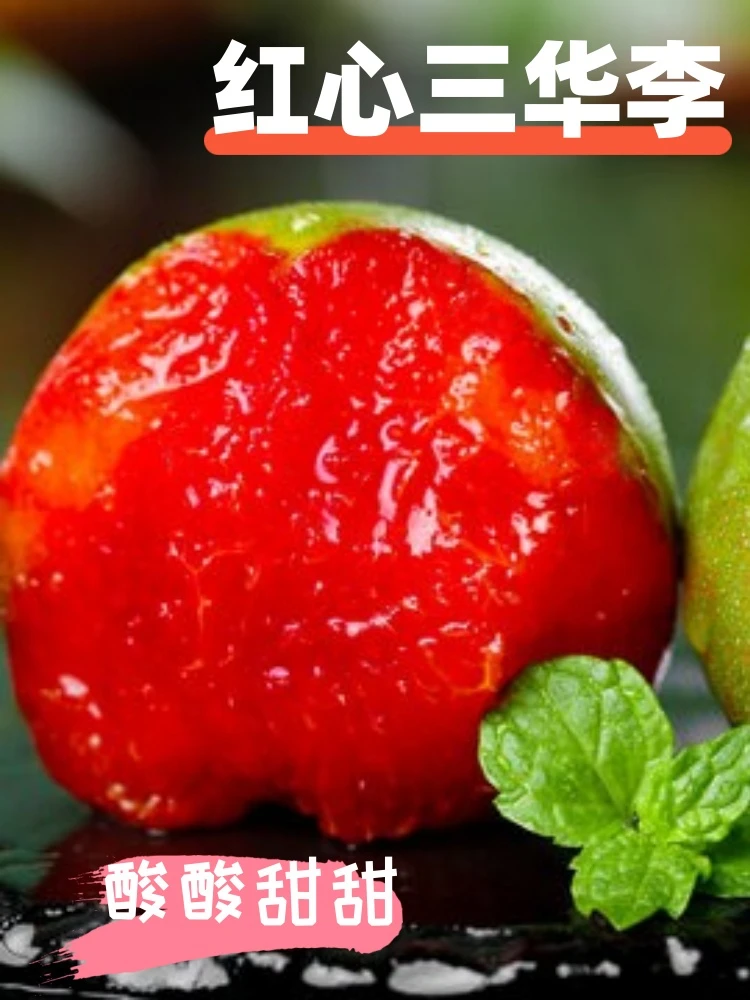 【正宗信宜】红心李三华现摘新鲜现货广东水果当季酸甜红心李整箱
