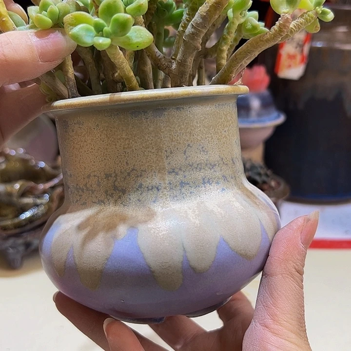 景德镇陶瓷艺术研究院