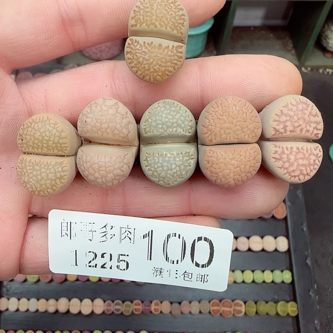 满满18包邮1225-100