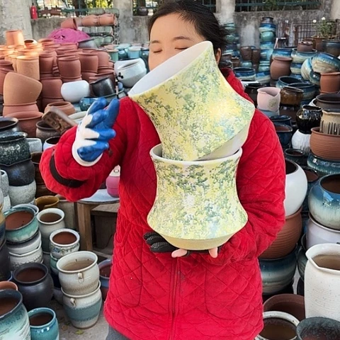 口19高20两个盆子。