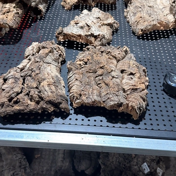 荶***園完全开放一物一拍一物一发